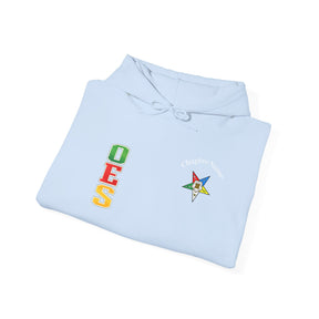 OES Hoodie - Colorful Eastern Star & Initials with Personalization - Bricks Masons