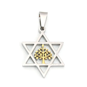 Ancient Israel Pendant - Stainless Steel Star Of David Hexagram Gold Silver - Bricks Masons