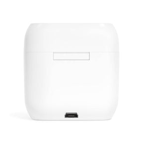 Widows Sons Earbud - White - Bricks Masons